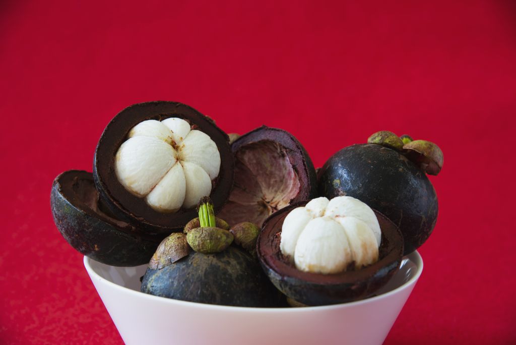 buah manggis