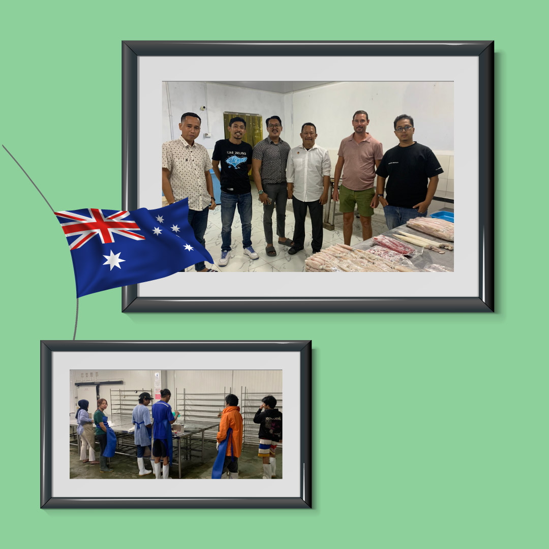 AeXI pendampingan ekspor tuna dan kakap dengan global buyer Australia di Makassar dan Sorong. January 29 - February 1, 2024