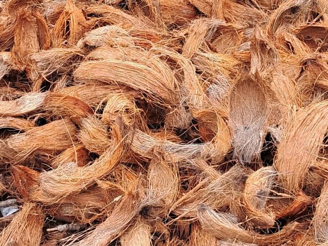 Sabut Kelapa Produk Kreatif dengan Nilai Besar