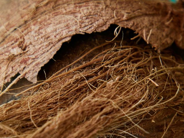 Sabut Kelapa Ramah Lingkungan Solusi Pengelolaan Limbah