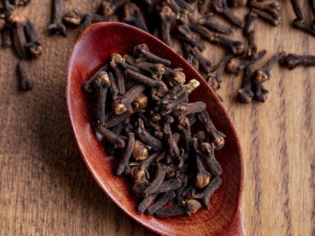 Ilustrasi Cengkeh