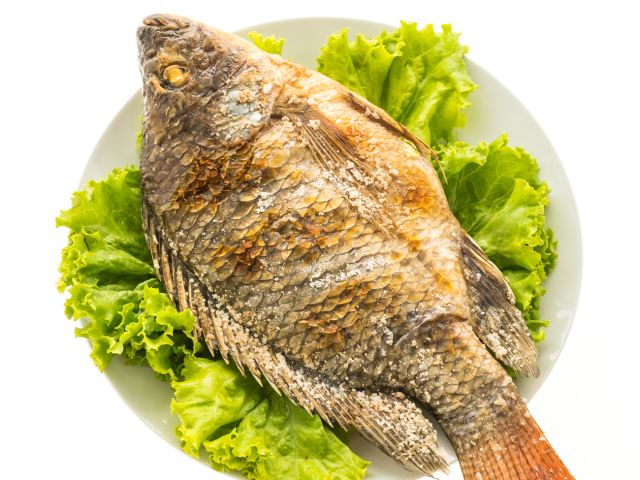 Ilustrasi Ikan Tilapia yang Sudah Digoreng