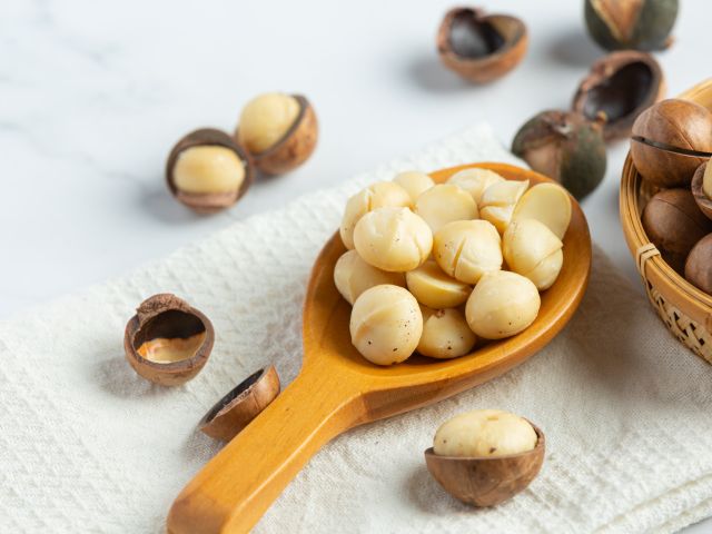 Ilustrasi biji kemiri.