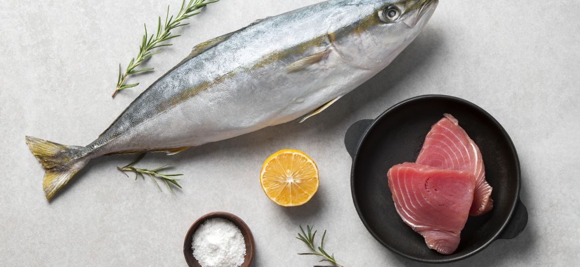 Ilustrasi ikan tuna