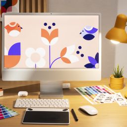 skill graphic design