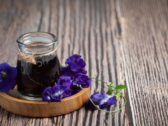 Si Biru Bunga Telang