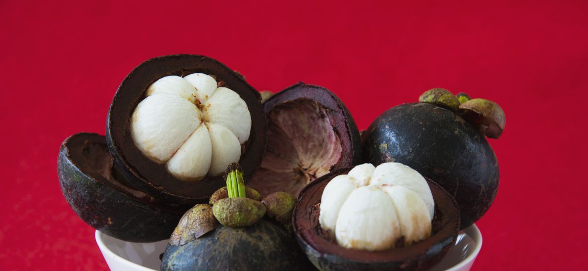 buah manggis