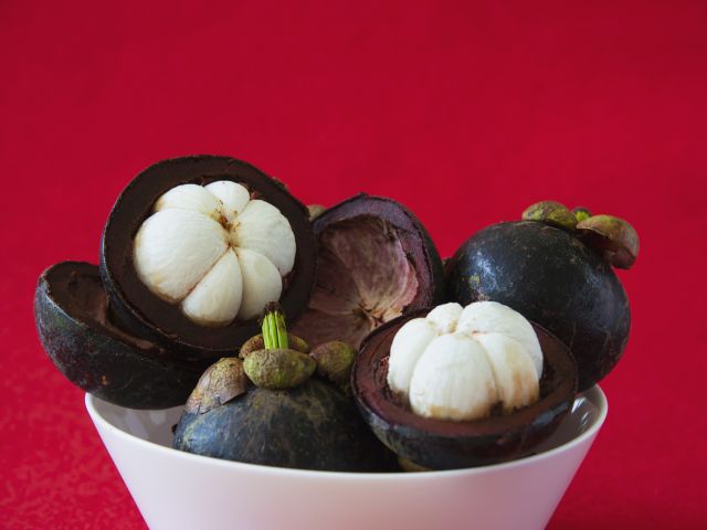 buah manggis