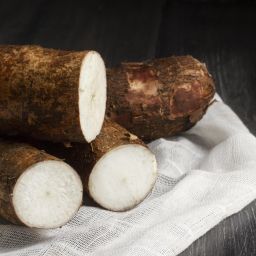 Tanaman pokok